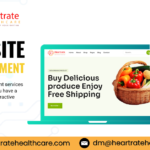 Web Application Development for Global Growth